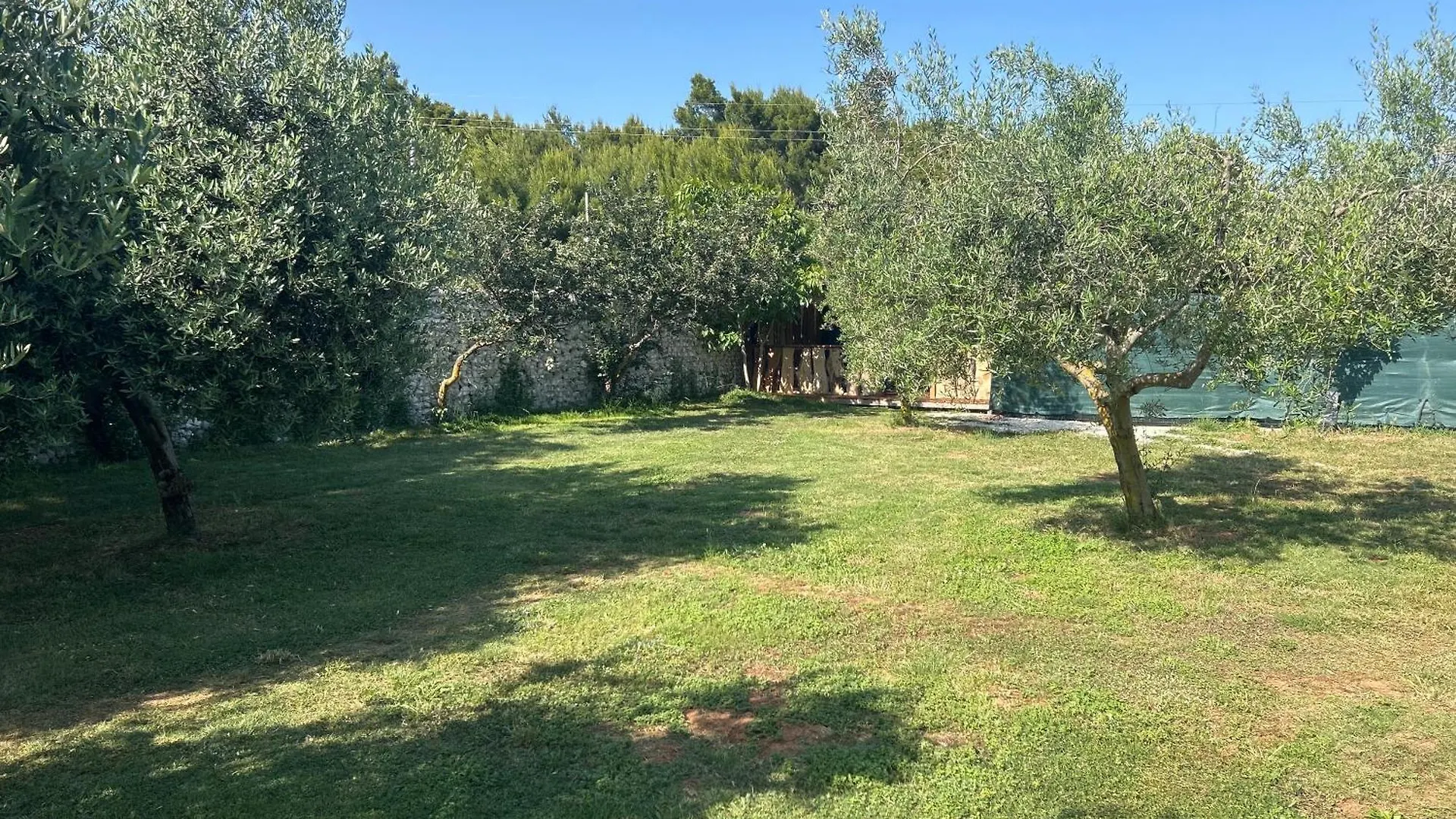Large Camper In The Olive Grove Ξενοδοχείο Banjole Κροατία